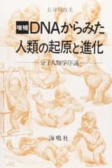 DNAからみた人類の起原と進化 増補版: 分子人類学序説 長谷川 政美