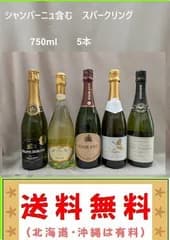 シャンパーニュ含む　スパークリング 5本セット　750ml（送料　北海道沖縄は有料 その他の地域は無料）