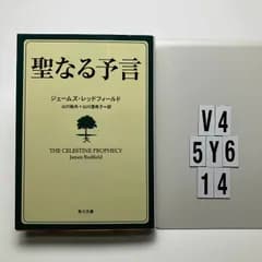 聖なる予言 (角川)    ジェームズ・レッドフィールド (著)　V4-6Y5-14