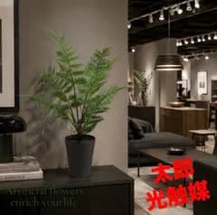 光触媒　人工観葉植物　ウォールグリーン　フェイクグリーン　レザーファンブッシュt@@