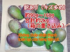 《訳あり》摘果 未熟 加工用 マンゴー/ 約2㎏〈約90g～160g〉