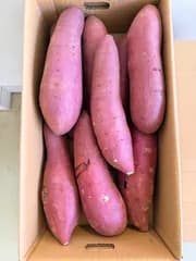 熊本県産紅はるか5kg。3Lサイズ。秀品。常温発送。