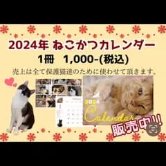 2024年ねこかつチャリティーカレンダー