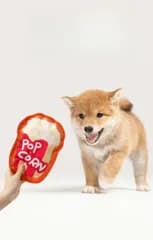 【ワンちゃん大興奮＆ストレス解消！】楽しく遊べるペットおもちゃ🐶✨押すとピーピー♪ 噛むとカシャカシャ♪ 歯磨き効果も期待できる耐久性抜群の噛むおもちゃ🦷💕可愛いデザイン＆水洗いOKでお手入れ簡単！愛犬の健康と楽しさをサポートする知育トイ🐾