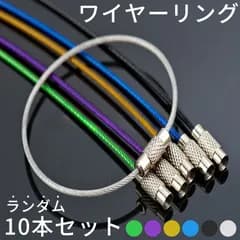 ワイヤーリング キーホルダー 色ランダム10本セット キーリング ハンドメイド パーツ チャーム デコ デコレーション ストラップ 鍵 チェーン アクセサリー リング ネジ スクリュー ワイヤー