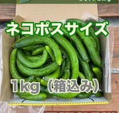 キュウリ　☻スマイル品☻ 1kg 食べる美容液