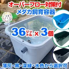 メダカ飼育ケース 36㍑x3個【4色あり】大雨でも安心 メダカ飼育容器 金魚鉢 小亀 睡蓮 水草 ビオトープ 屋外水槽 タライ トロ舟 NV13 五色アクア