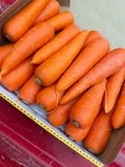 長崎県産　農家直送　春にんじん　　コンパクト