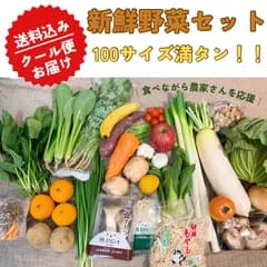 【2022年度 国内No.1獲得！】野菜セット 詰め合わせ 100サイズ🙌  【福袋】玉ねぎ にんじん じゃがいも みかん トマト にんにく りんご 米 梨 桃 シャインマスカット たまねぎ ブロッコリー 青果 フルーツ 果物 食品 贈答 正月 福袋 ギフト