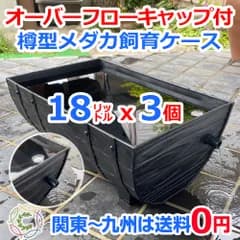 メダカ飼育ケース 樽型18㍑ 黒x3個 オーバーフローキャップ付 メダカ飼育容器 針子 産卵 大雨対策 めだか水槽 金魚屋外飼育容器 ビオトープ 睡蓮 約50cmx約33cmx約22cm 五色アクア