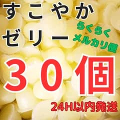 【KBファーム すこやかゼリー 30個入り】 クワガタ カブトムシ ハムスター モモンガ エサ 餌 昆虫ゼリー 小動物