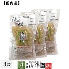 【国産原料使用】沢田の味 らっきょうりんご 甘酢漬 100g×3袋セット 送料無料 自然と健康の郷 群馬県吾妻郡産 健康 ダイエット ギフト プレゼント 父の日 御中元 2026 プチギフト お茶 内祝い チャイ