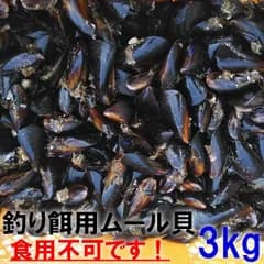 釣り餌に ムール貝　「ムラサキイガイ３ｋｇ」小分け袋入り冷凍品 ３キロ イガイ 船釣り 磯釣り コブダイ釣り チヌ釣り クロダイ釣り フィッシング