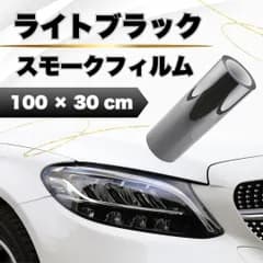 ヘッドライト スモーク フィルム テール プリウス ハイエース 保護 カバー コーティング シール
