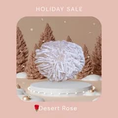 【新入荷】砂漠のバラ🌹【Single SS】