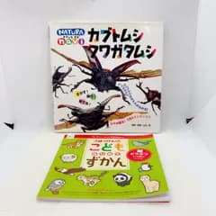 A232　ナチュラ　ナビ　カブトムシ　クワガタムシ カブトムシ　クワガタムシの気持ちがわかる！