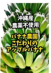 バナナ農園直送！沖縄産こだわり！アップルバナナ農薬不使用！一度食べたら他のバナナに戻れない？！