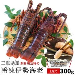 三重県産 伊勢海老詰合せ １尾で約３００ｇ 送料無料 刺身用瞬間冷凍 伊勢エビ p2 プレゼント ギフト