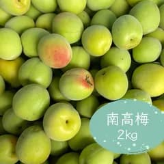 無農薬　南高梅　2㎏ほど