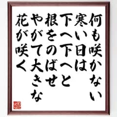 名言「何も咲かない寒い日は、下へ下へと根をのばせ、やがて大きな花が咲く」手書き書道色紙額／受注後の毛筆直筆（V6078）