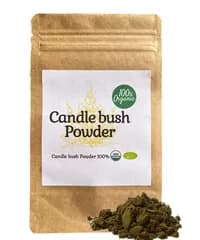 【新商品レビューキャンペーン対象】100%オーガニック　キャンドルブッシュ パウダー / candle bush Powder 100g オーガニック アーユルヴェーダ 健康 ダイエット カッシア アラタ タンニン ポリフェノール