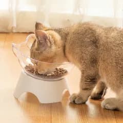 2個セットフードボウル スタンド ペット用 犬 猫 餌入れ 食器台 エサ台 pet10000a010