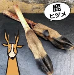 専用石窯で1週間加熱した【鹿のひづめ+スネ　1本】中～大型犬に