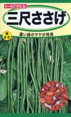 野菜の種 春蒔き「 三尺ささげ」１袋