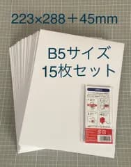 B5 対応サイズ 厚紙封筒 厚手封筒 ビジネスレターケース 15枚入 宅配便資材