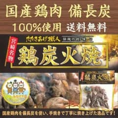 鶏炭火焼き 100g×3袋 国産 鶏の炭火焼 宮崎名物 真空パック 常温保存 おつまみ 焼き鳥 地鶏 鶏肉 鳥 送料無料