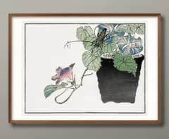 10858森本東子 日本画 ボタニカル アサガオ 花 A3 サイズ ポスター アート おしゃれ 絵画 インテリア 北欧 イラスト マット紙 艶消し アートパネル 額 フレーム デザイン 壁掛け ギフト 新築祝い ディスプレイ