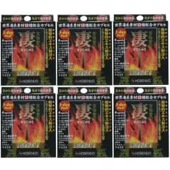 宝仙堂の凄十 IMPACT 1-DAYパック 4粒入 6箱セット 滋養強壮 サプリ スッポン 送料無料