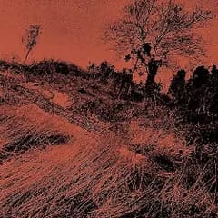 CD / ザ・ディランII / きのうの思い出に別れをつげるんだもの (Blu-specCD2)