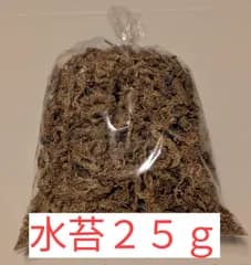 乾燥　水苔　２５ｇ【チリ産　高級５スターグレード】ミズゴケ　水ごけ