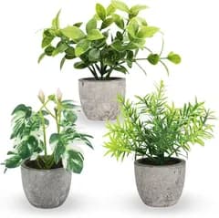 ａｄｚｕ 卓上フェイクグリーン 観葉植物 造花 インテリア ミニ 光触媒 置物 おしゃれ fake plant green 緑 水やり不要 ギフト(グリーン,  3個セット)