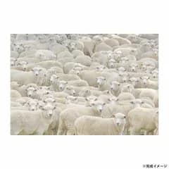 ビバリー 地獄パズルジグソーパズル 眠くなるパズル 1000マイクロピース M81-627