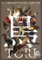 【中古】パンフレット ≪パンフレット(図録)≫ パンフ)特別展「鳥 ～ゲノム解析が解き明かす新しい鳥類の系統～」