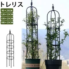 150cm オベリスク アイアン トレリス バラ用 直径25センチ ガーデン 支柱 花支え バラ 薔薇 庭 ガーデニング 誘引 操作簡単 金属製 簡易組立式 つる性植物 園芸 耐候性 装飾 園芸 登山トレリス 植物サポート