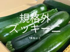 5月末終了 訳あり 規格外ズッキーニ 1kg以上 匿名配送