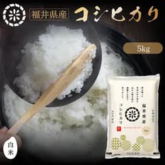 【数量限定】生活応援！令和7年産　コシヒカリ　こしひかり　【白米】　5㎏