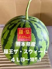 【産地直送・熊本県産大玉すいか・朝採れ】熊本県産羅皇ザ・スウィート９～１０㎏　１玉　正規品　秀品
