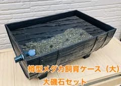 樽型めだか飼育ケース【大】大磯石、赤玉土セット