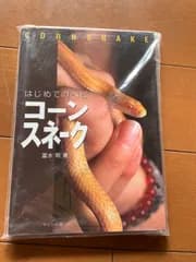 コーンスネーク
