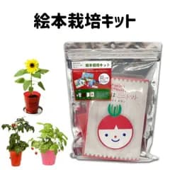 栽培 栽培セット 栽培キット 種 野菜 ミニトマト ヒマワリ ストロベリー 絵本 室内 子供 キッズ おうちで栽培 おうちでガーデニング 自由研究 家庭菜園 観察 初心者向け おうち時間 送料無料