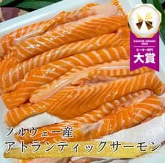 ノルウェー産 アトランティックサーモン 大トロ ハラス 1kg 500g×2パック 海鮮 サーモン 鮭 シャケ さけ とろサーモン マグロ 鮪 食品 豊洲 市場 魚 グリル グルメ 食材