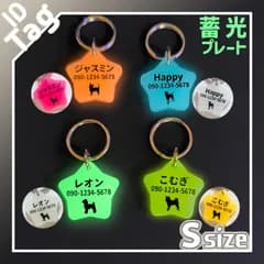 蓄光プレート　光る星の迷子札　Sサイズ　片面彫刻　迷子札　ネームタグ　アクリル製　全４色　名入れ無料