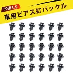 【30個入り】プッシュ型 クリップ リベット 車用クリップ 自動車用ファスナー 10mm ホンダ トヨタ 日産対応 バンパー固定 自動車整備 修理用