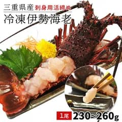 三重県産 伊勢海老 １尾 ２３０～２６０ｇ （通常梱包） お刺身用 冷凍伊勢海老 鮮度の良い 伊勢海老 を瞬間凍結