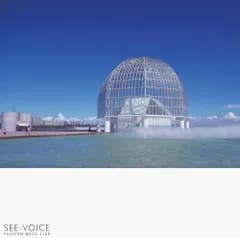 SEE-VOICE(中古品)
