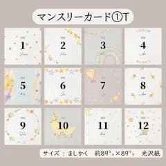 マンスリーカード① ⋆𝐓 ✩⃛* 12枚セット
